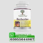 Premium Berberine Supplements In Pakistan