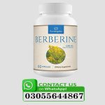 Sunergetic Berberine Supplement