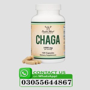 Double Wood Chaga Mushroom